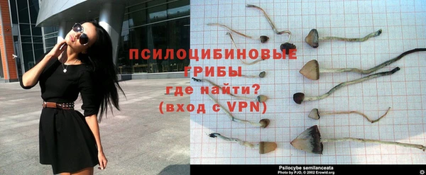 mdpv Арсеньев
