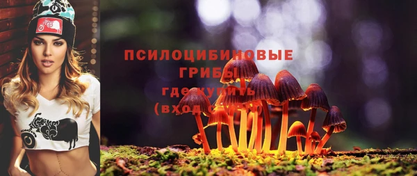 ГАЛЛЮЦИНОГЕННЫЕ ГРИБЫ Армянск
